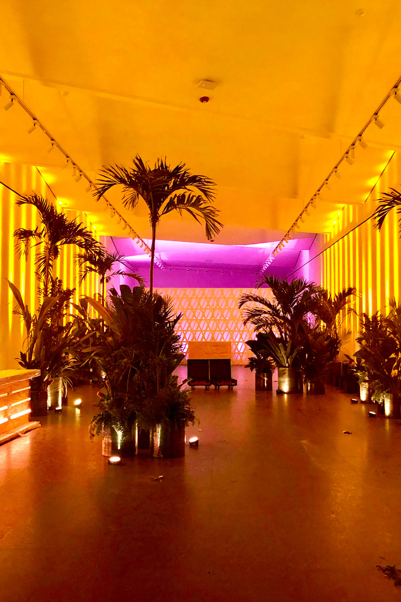 Corporate opening design Mexico